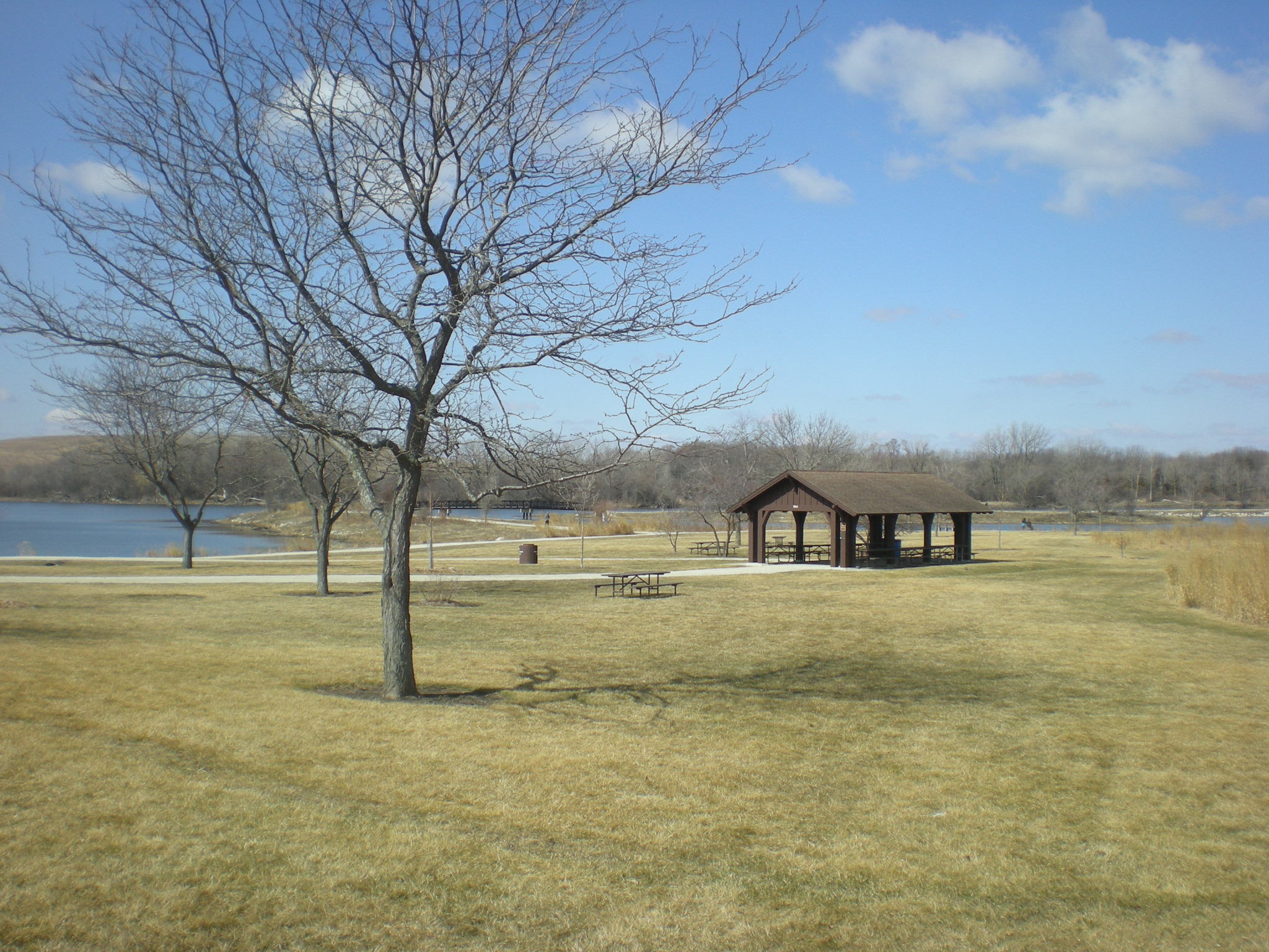 Mallard Lake, March 21, 2015