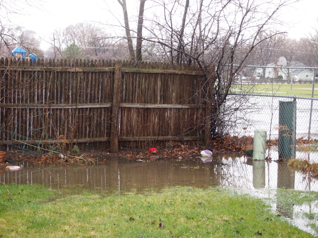 Back Yard, April 2015