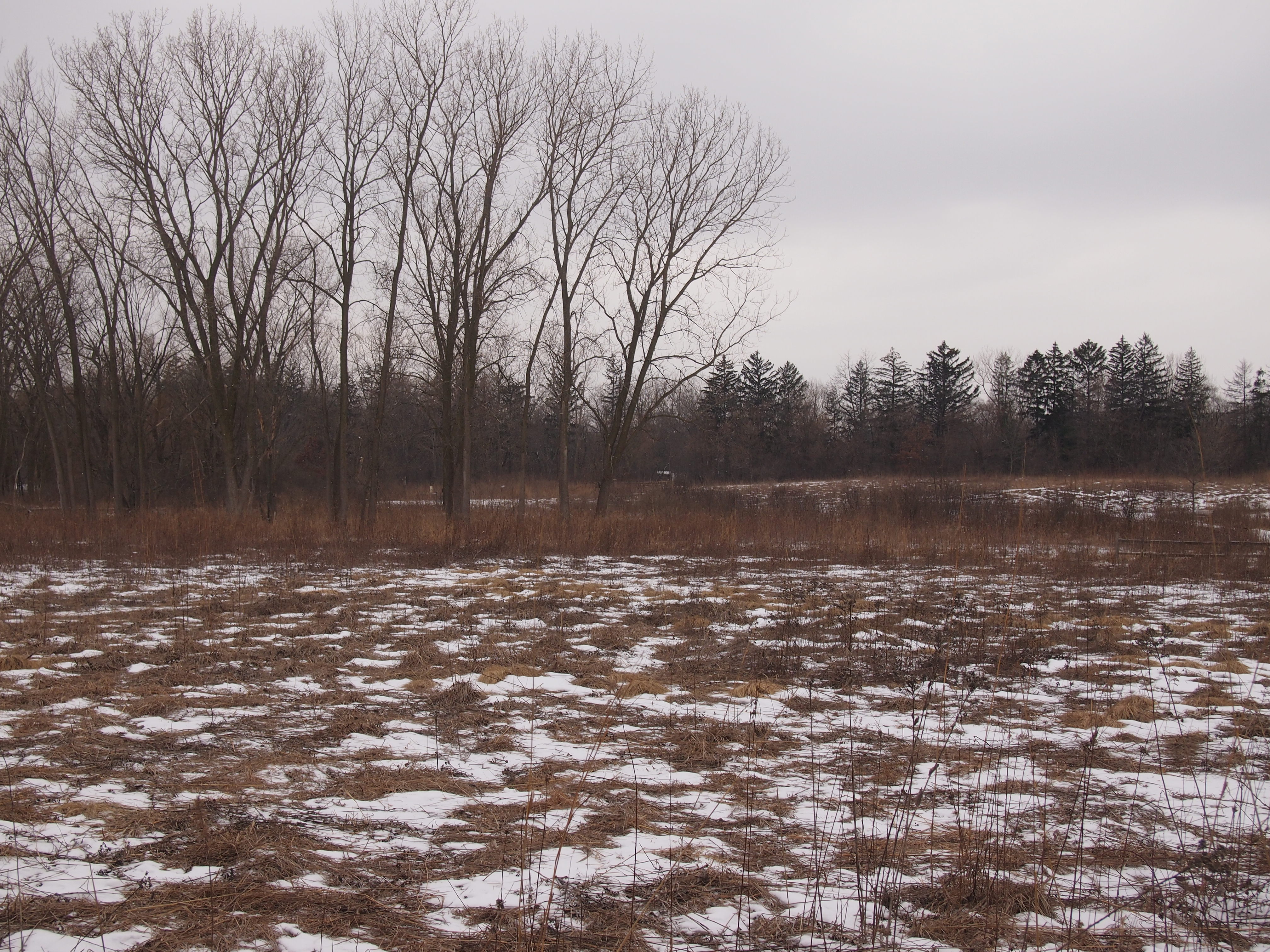 Spring Valley Nature Preserve