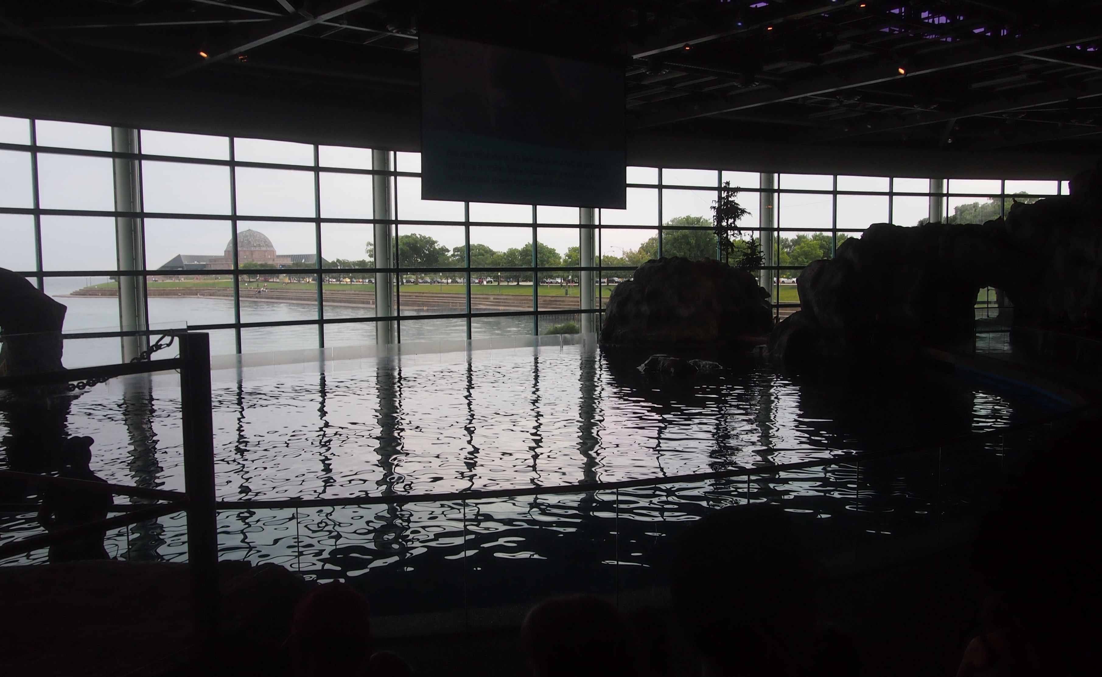 Abbott Oceanarium