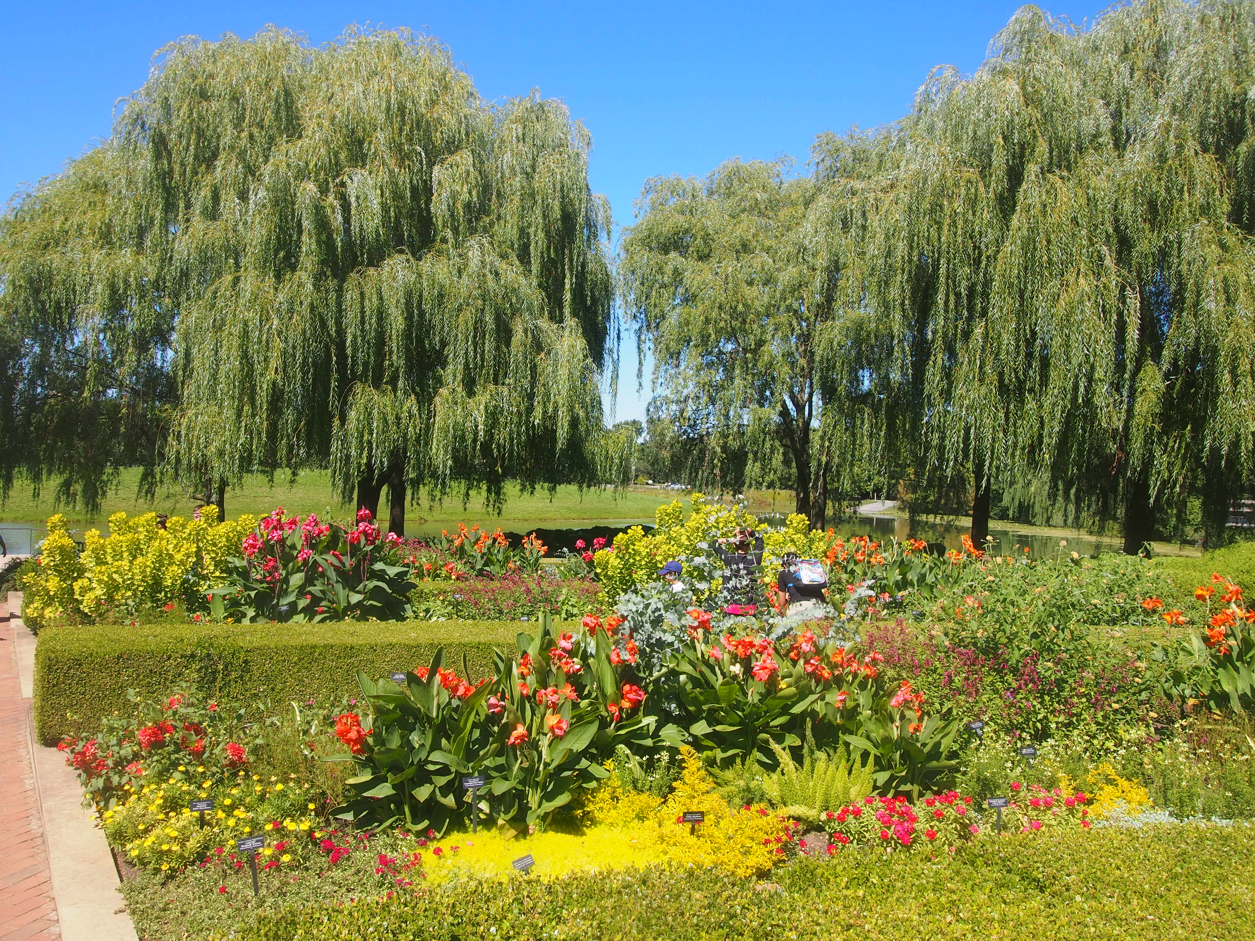 Context Analysis The Rose Garden