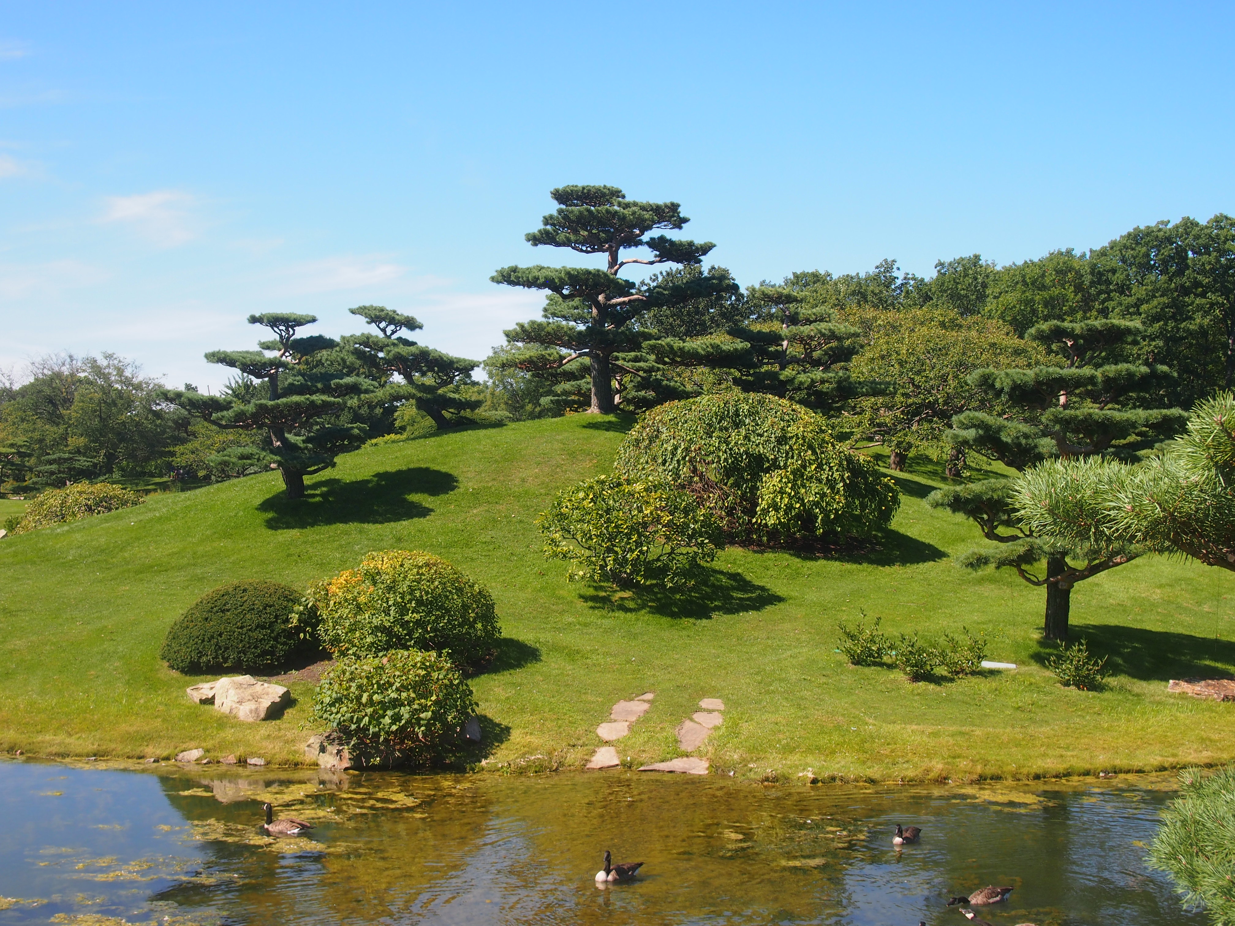 The Chicago Botanic Garden Been There Seen That