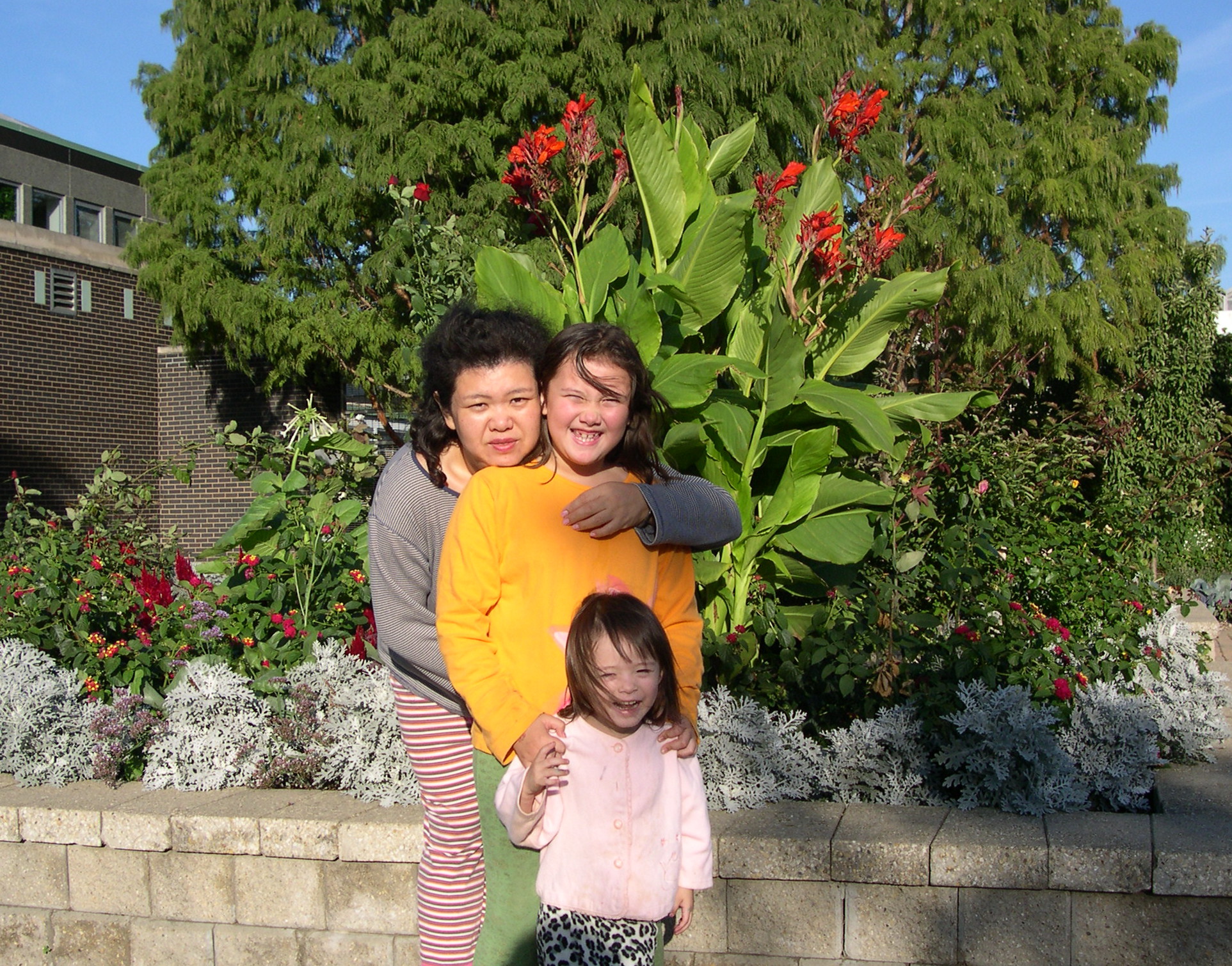 Friendship Park Conservatory, Mount Prospect