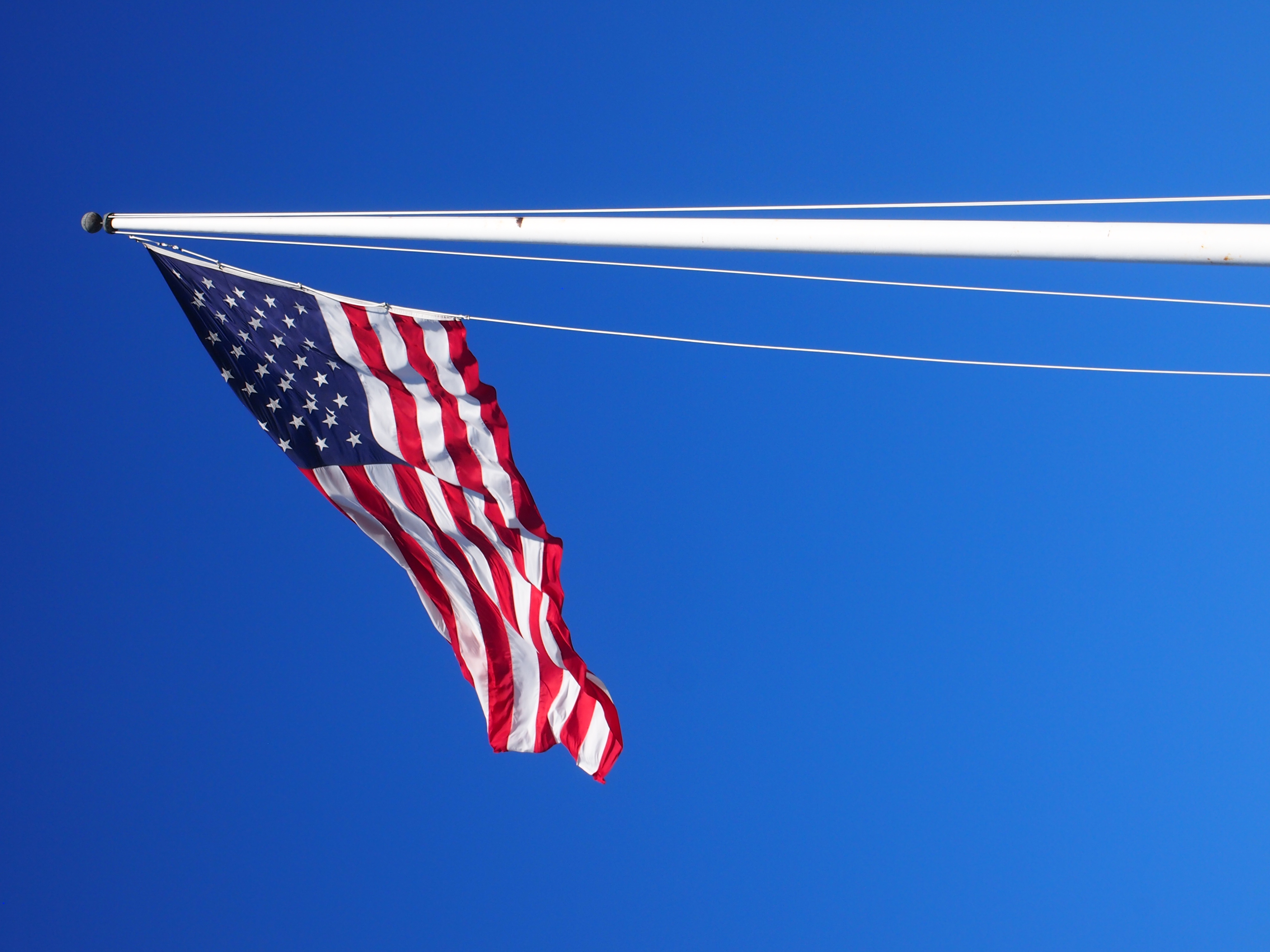 Fort Sumter flag