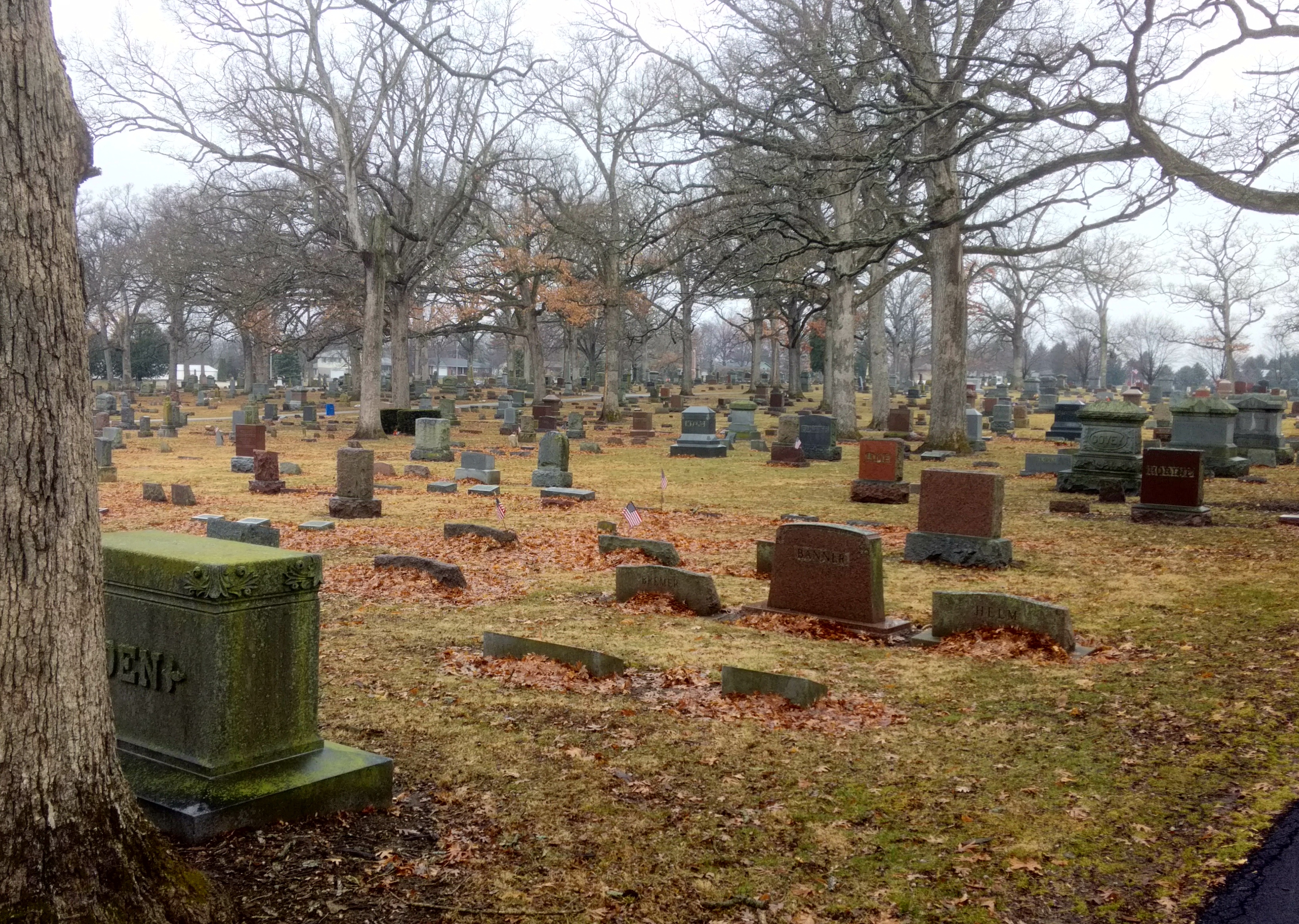 Oak Grove Cemetery, LaRoy Illinois