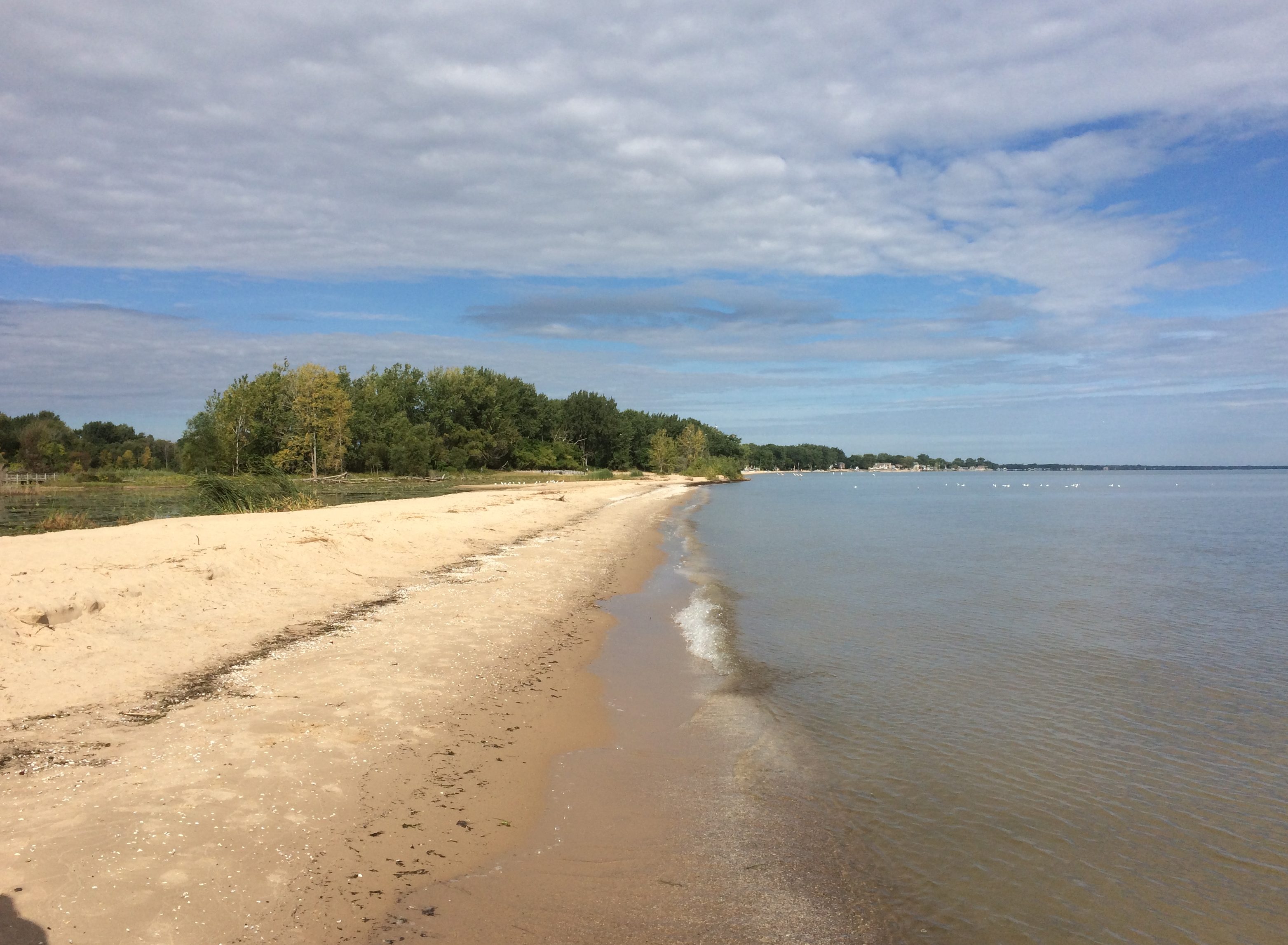 Bay City State Park