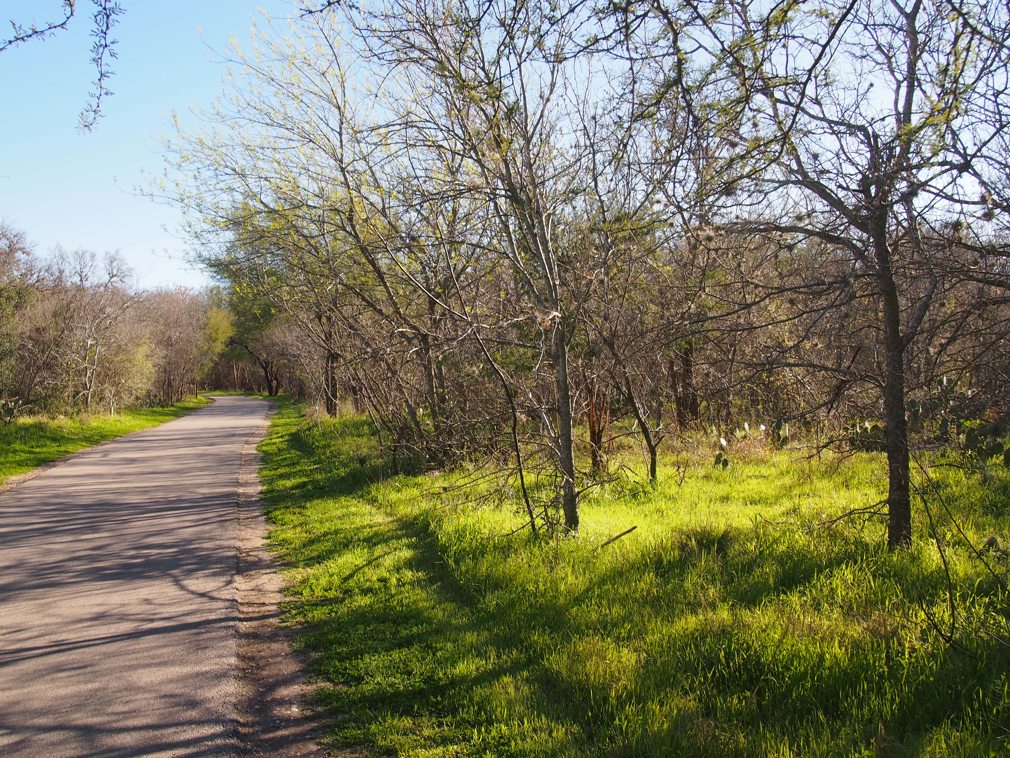 Salado Creek Greenway San Antonio