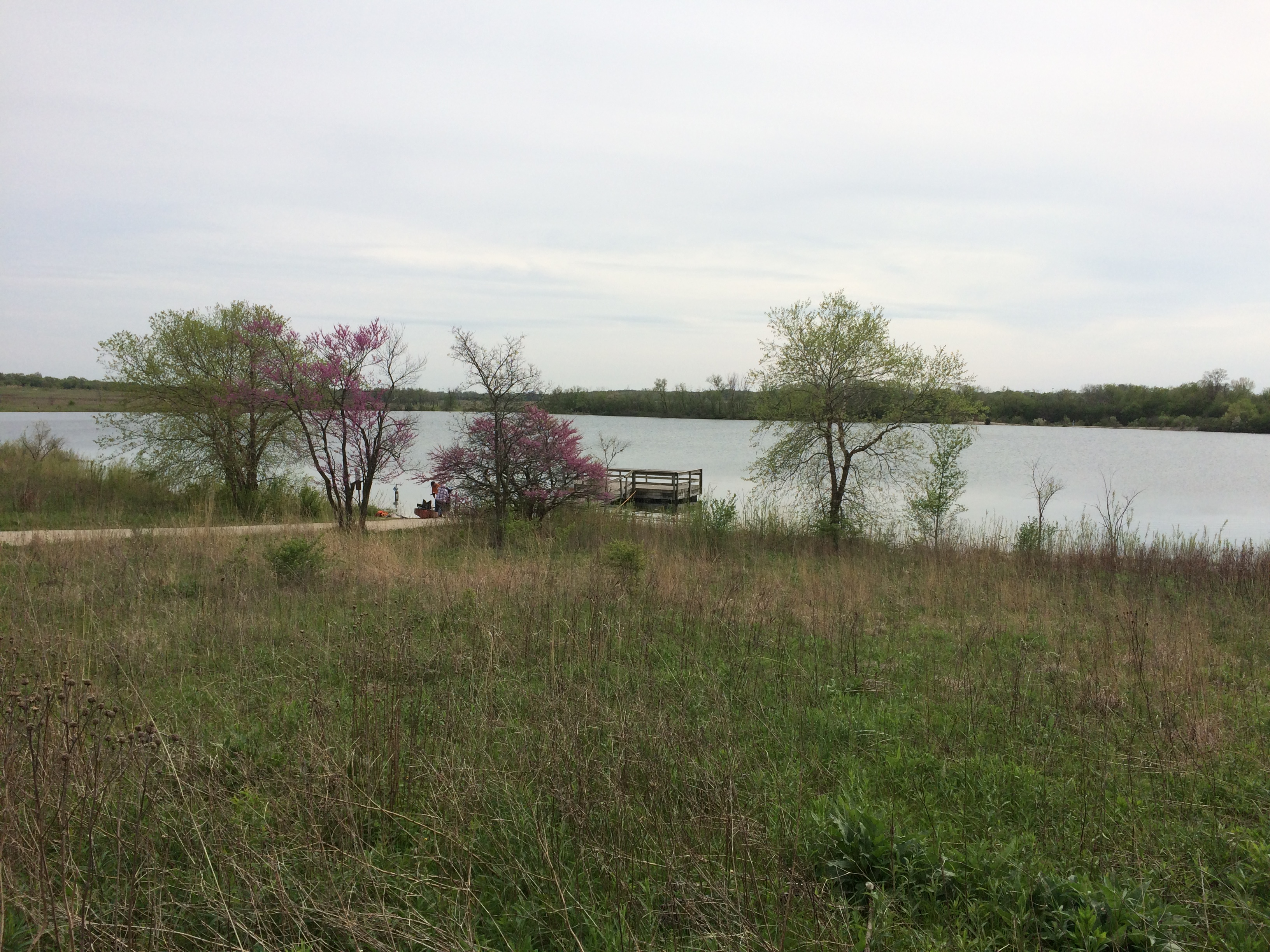 West Branch Forest Preserve