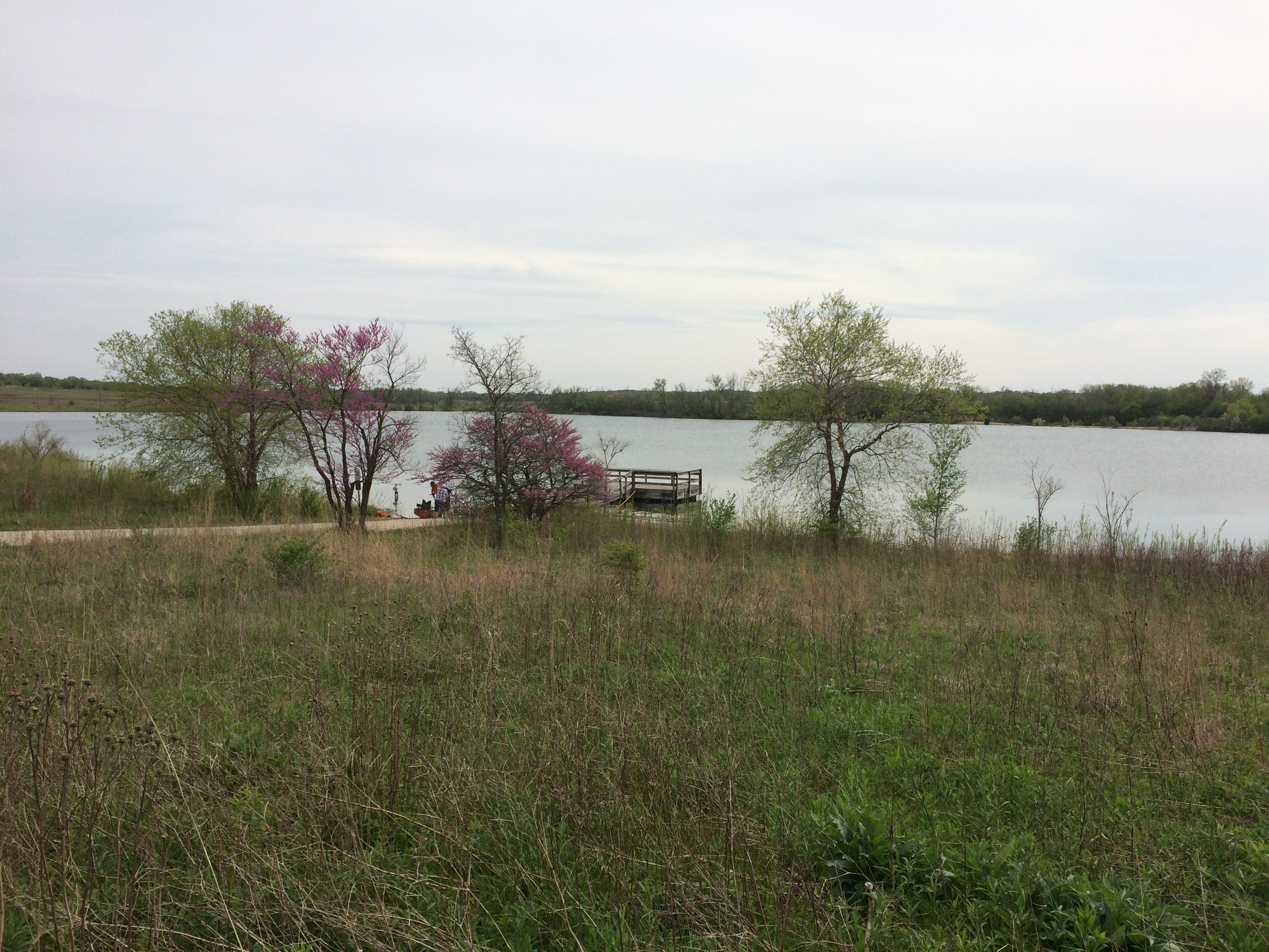 West Branch Forest Preserve