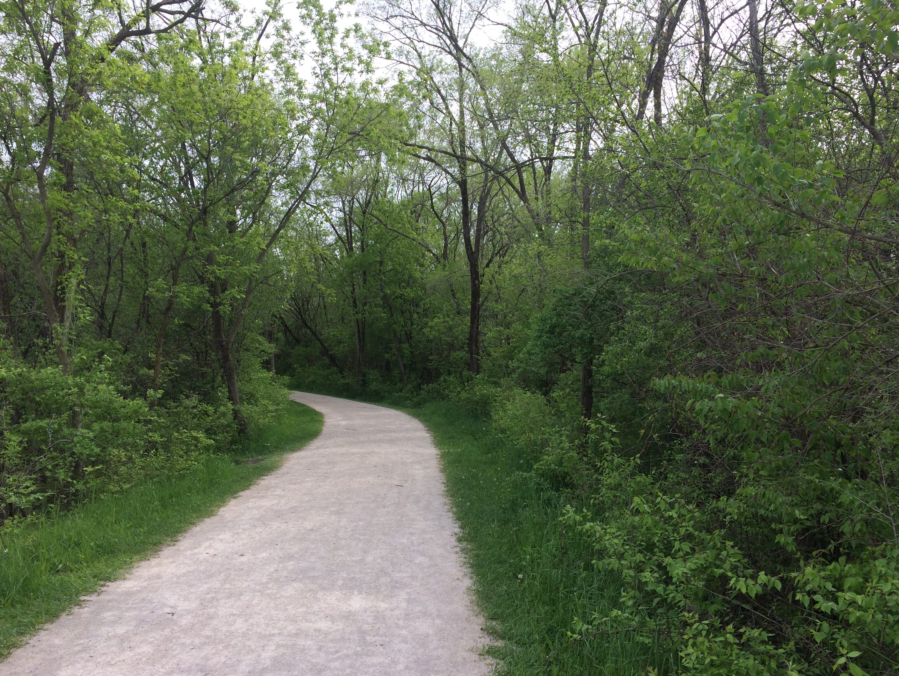 West Branch Forest Preserve