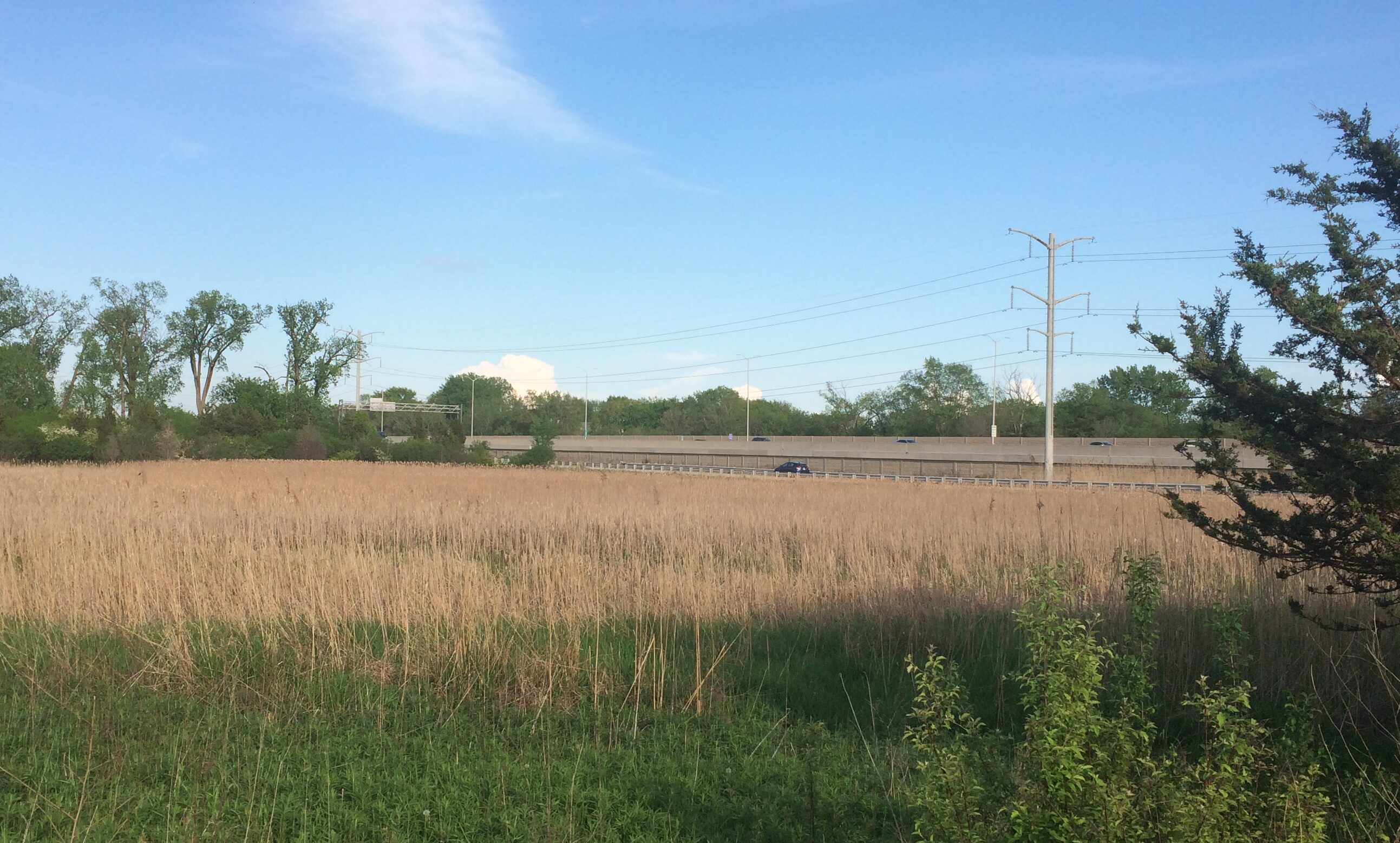 Paul Douglas Forest Preserve