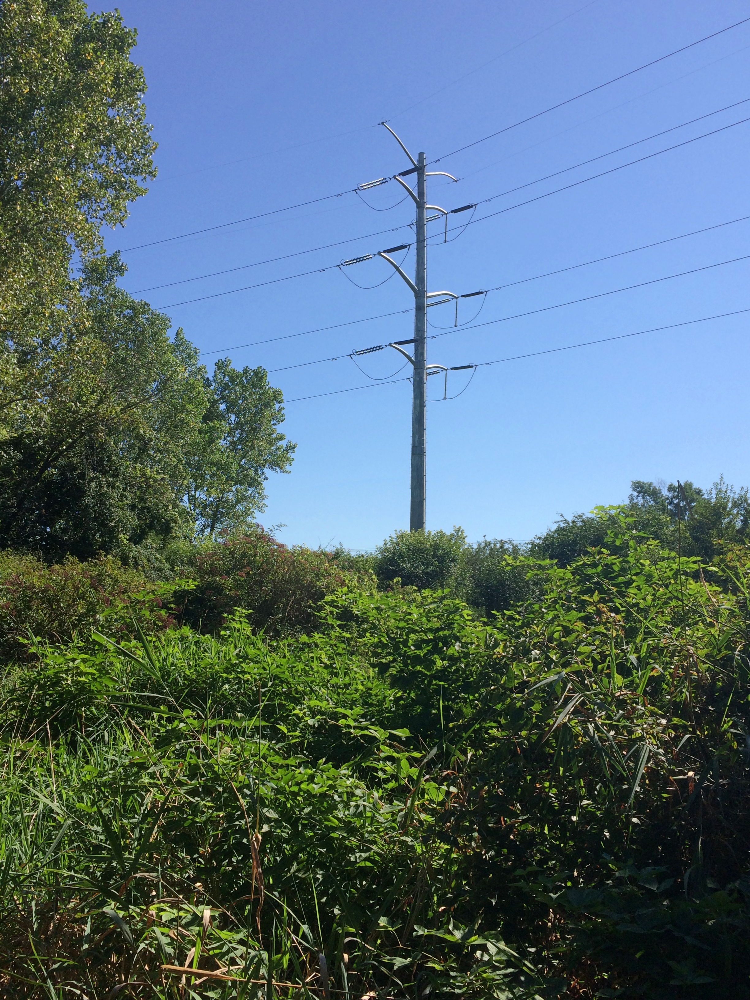 Aurora West Forest Preserve