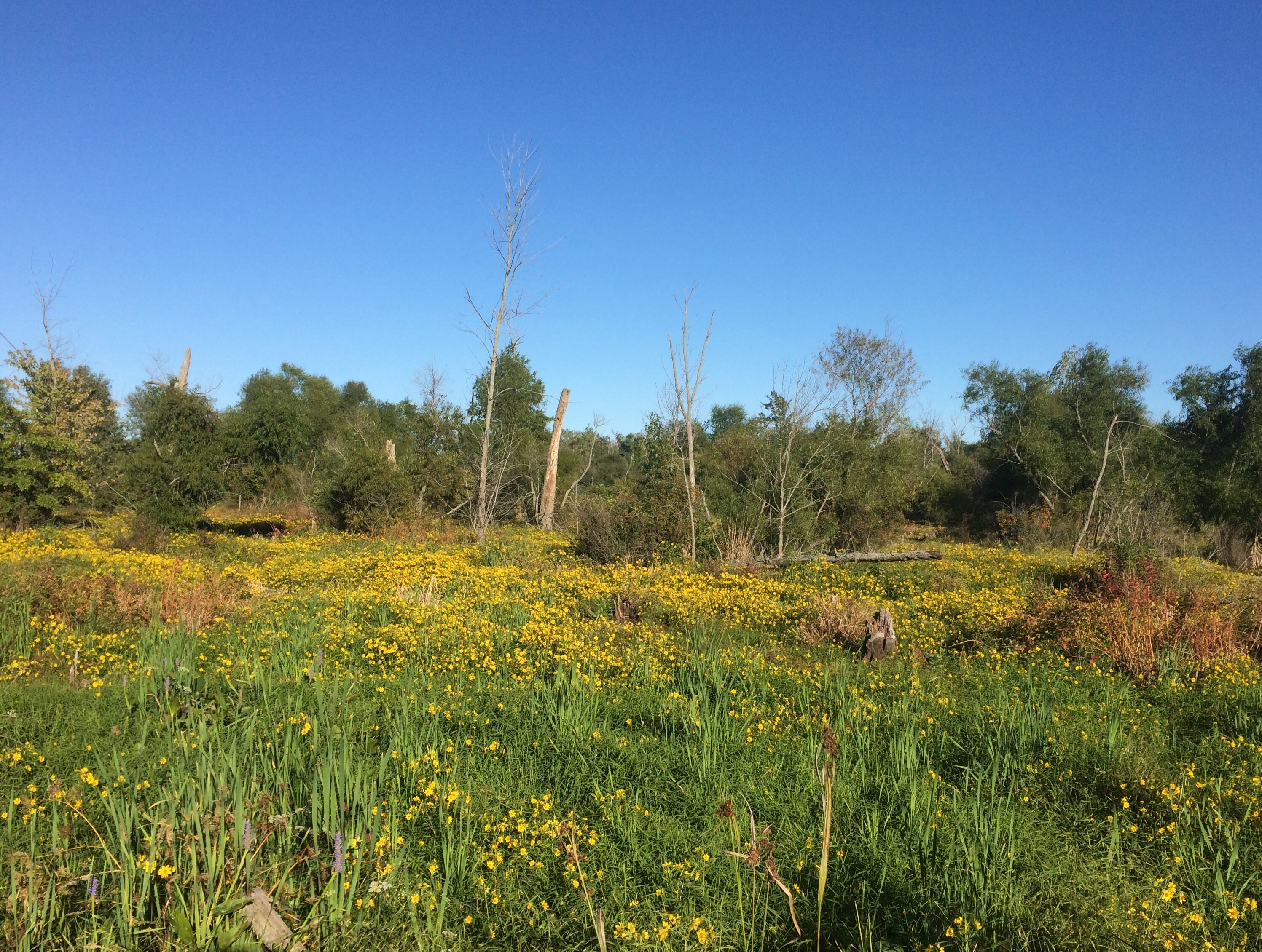 Indiana Dunes National Park