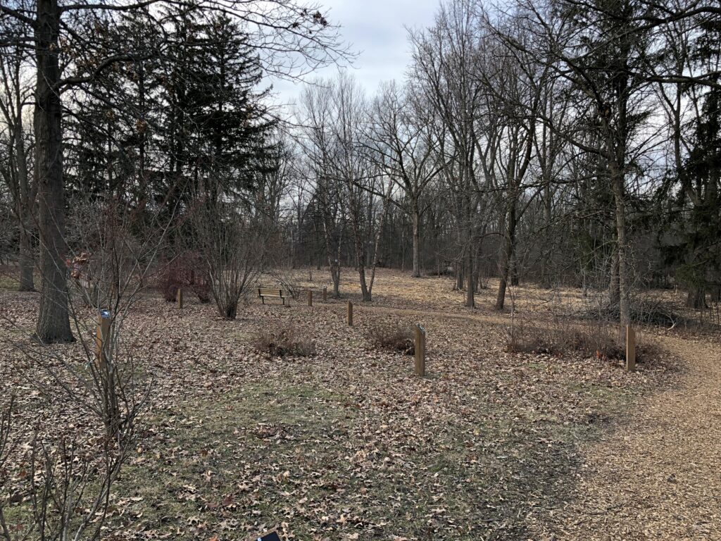 Bob Link Arboretum