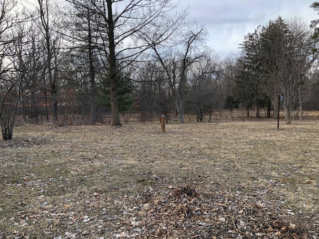 Bob Link Arboretum