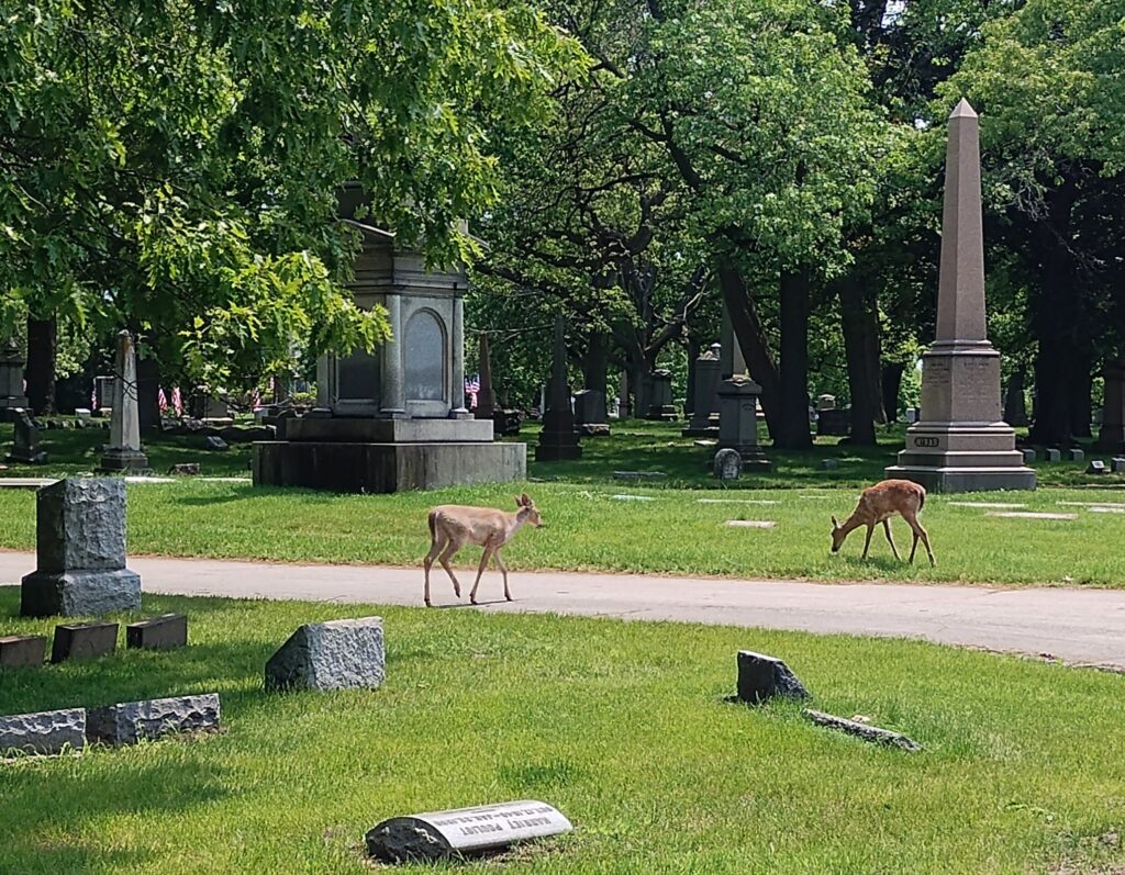Rosehill Cemetery