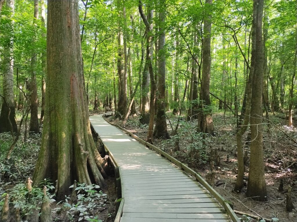 Congaree National Park