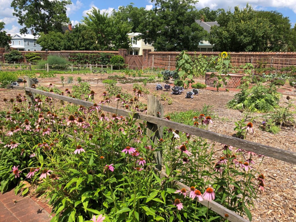 Tryon Palace garden