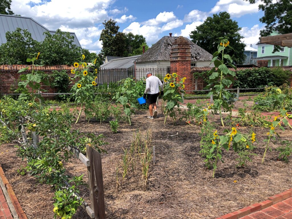 Tryon Palace garden