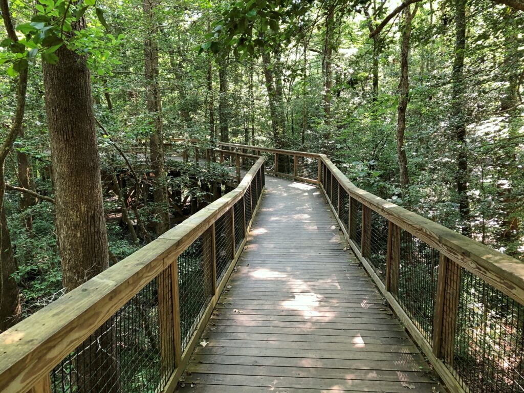 Congaree National Park