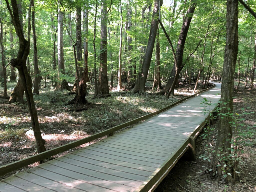 Congaree National Park