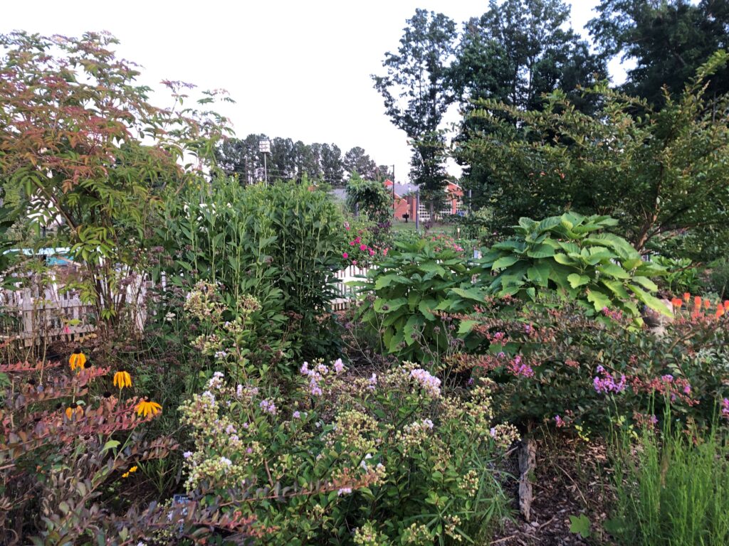 UGA Extension Garden