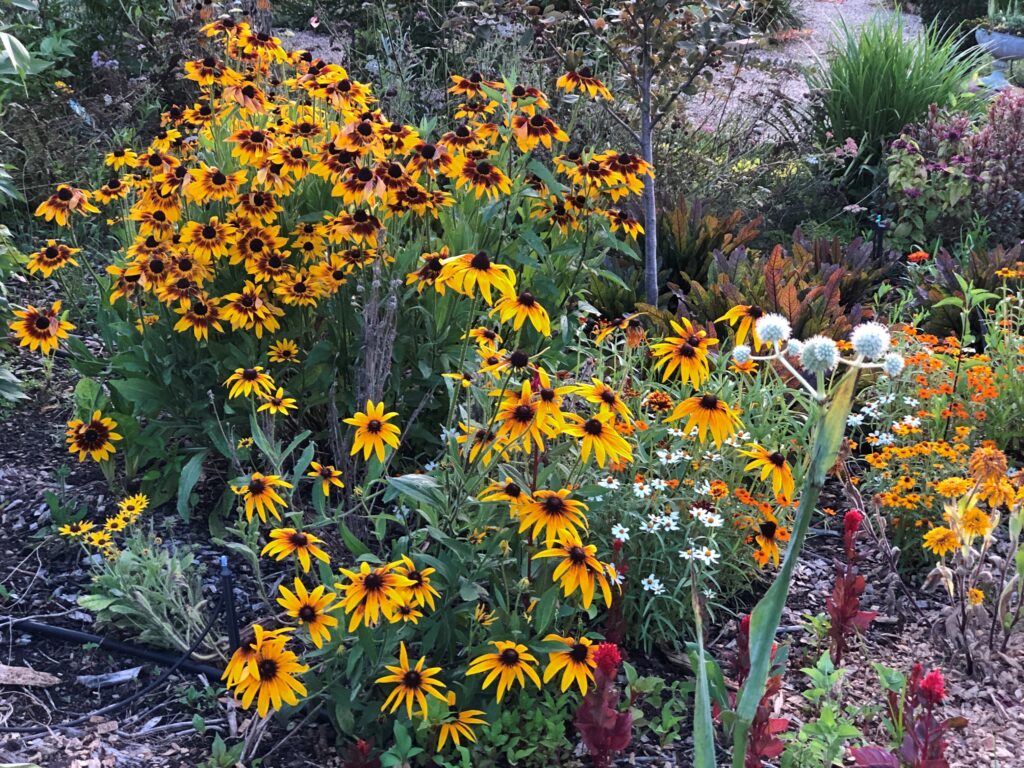 UGA Extension Garden