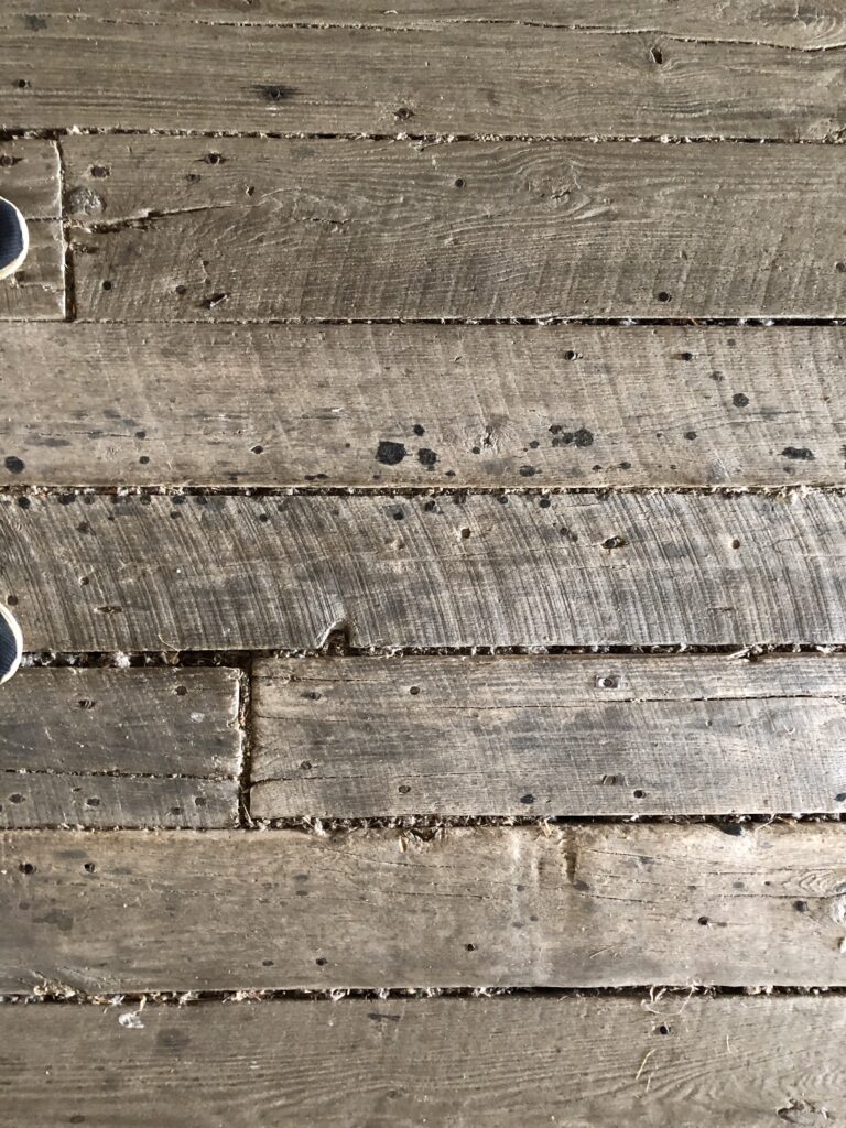 Parke County, Indiana bridges