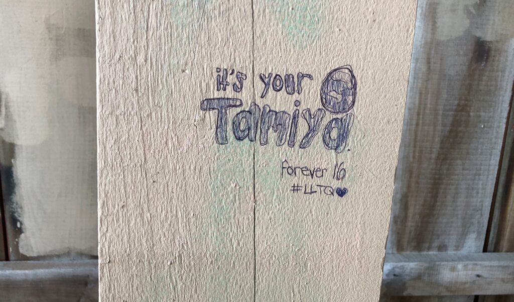 Parke County, Indiana bridges