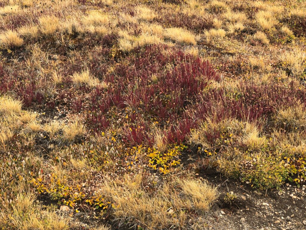 Rocky Mountain National Park
