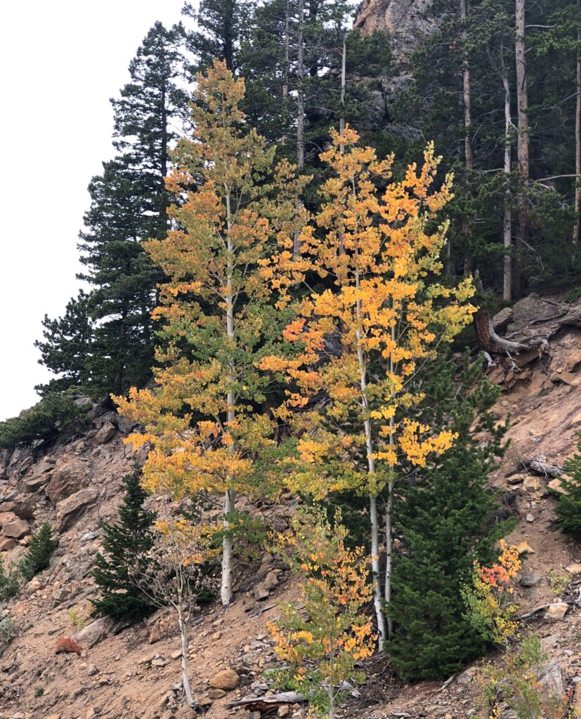 Rocky Mountain National Park