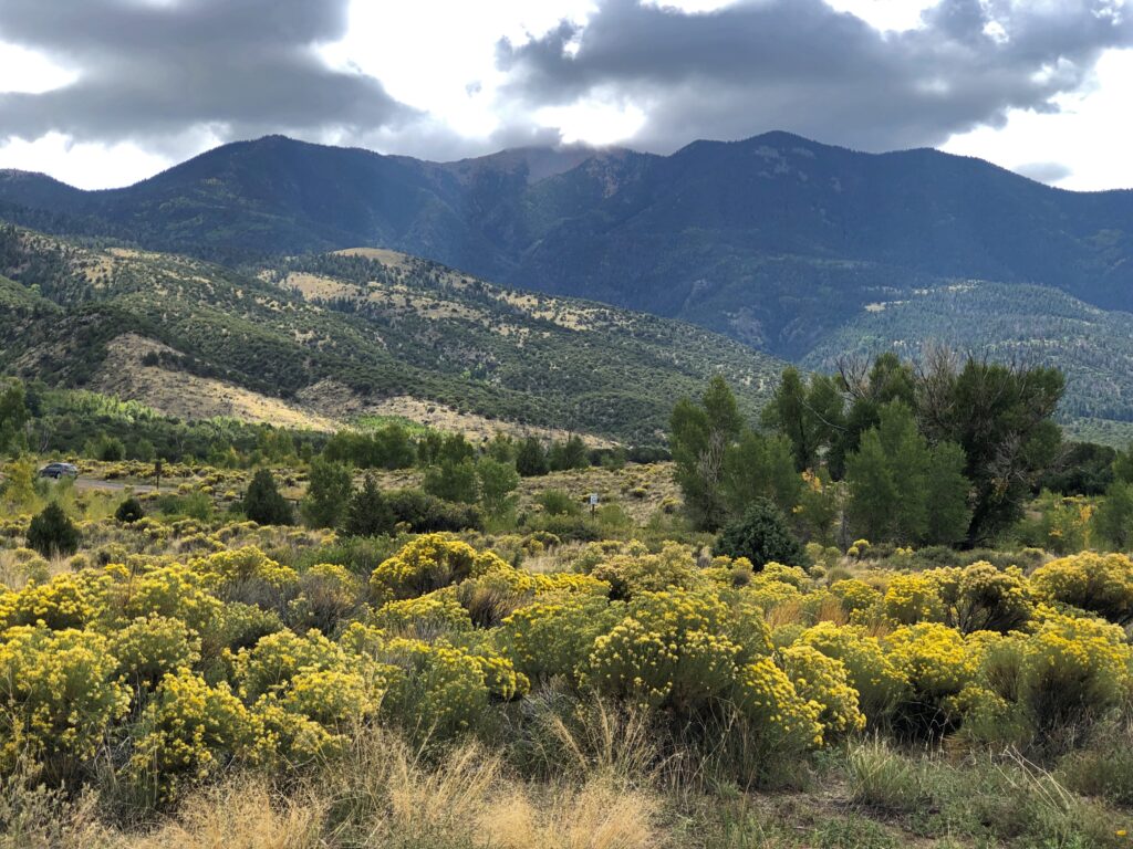 Great Sand Dunes National Park