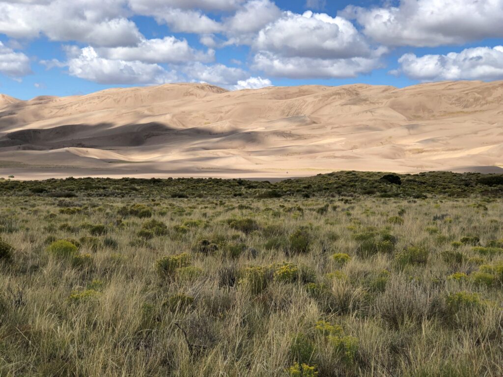 Great Sand Dunes National Park