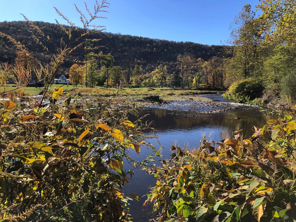 East Branch of the Delaware River
