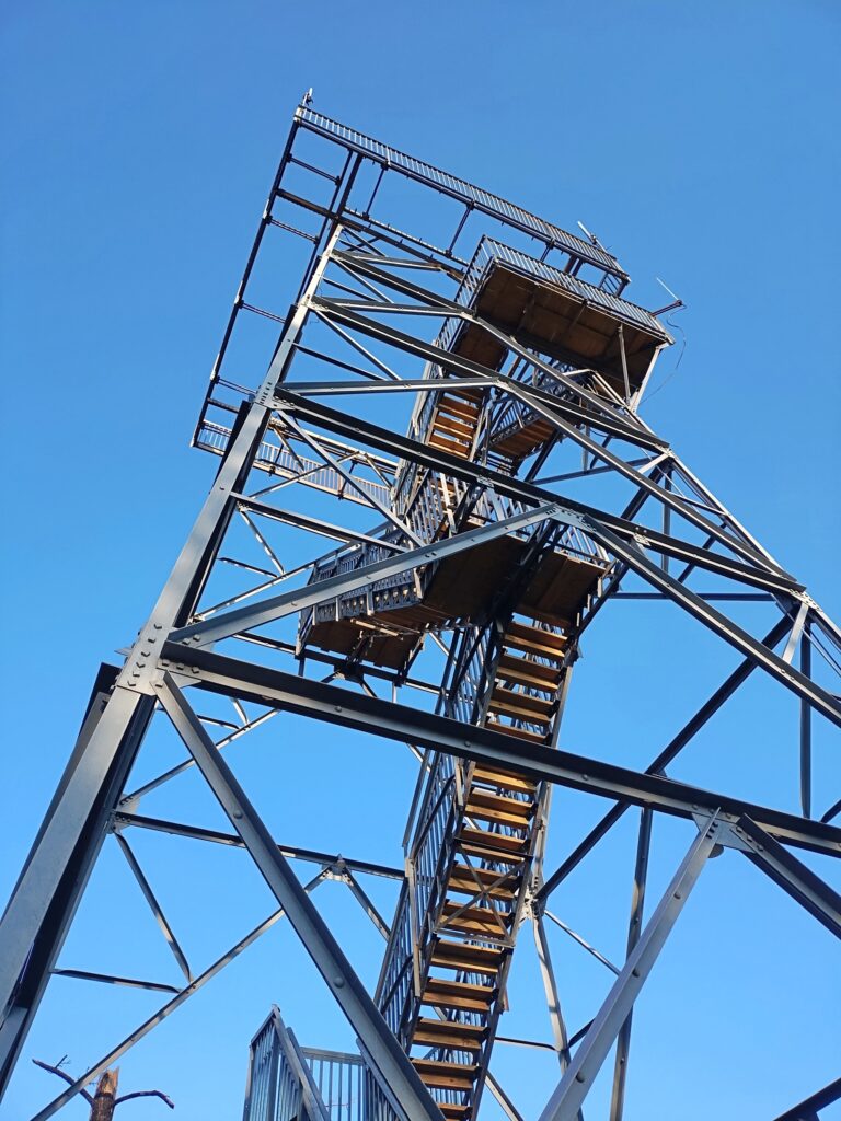 Nebraska National Forest