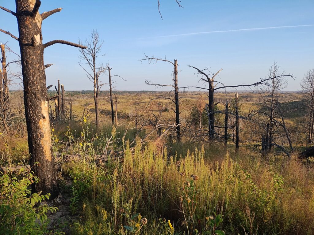 Nebraska National Forest