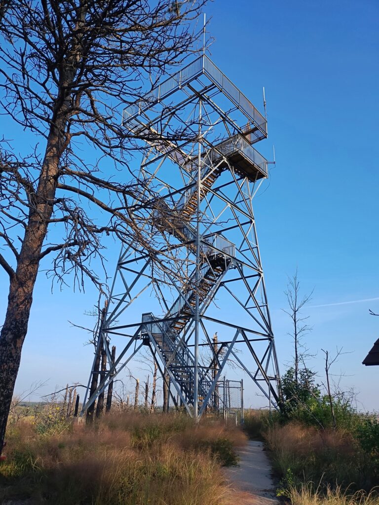 Nebraska National Forest