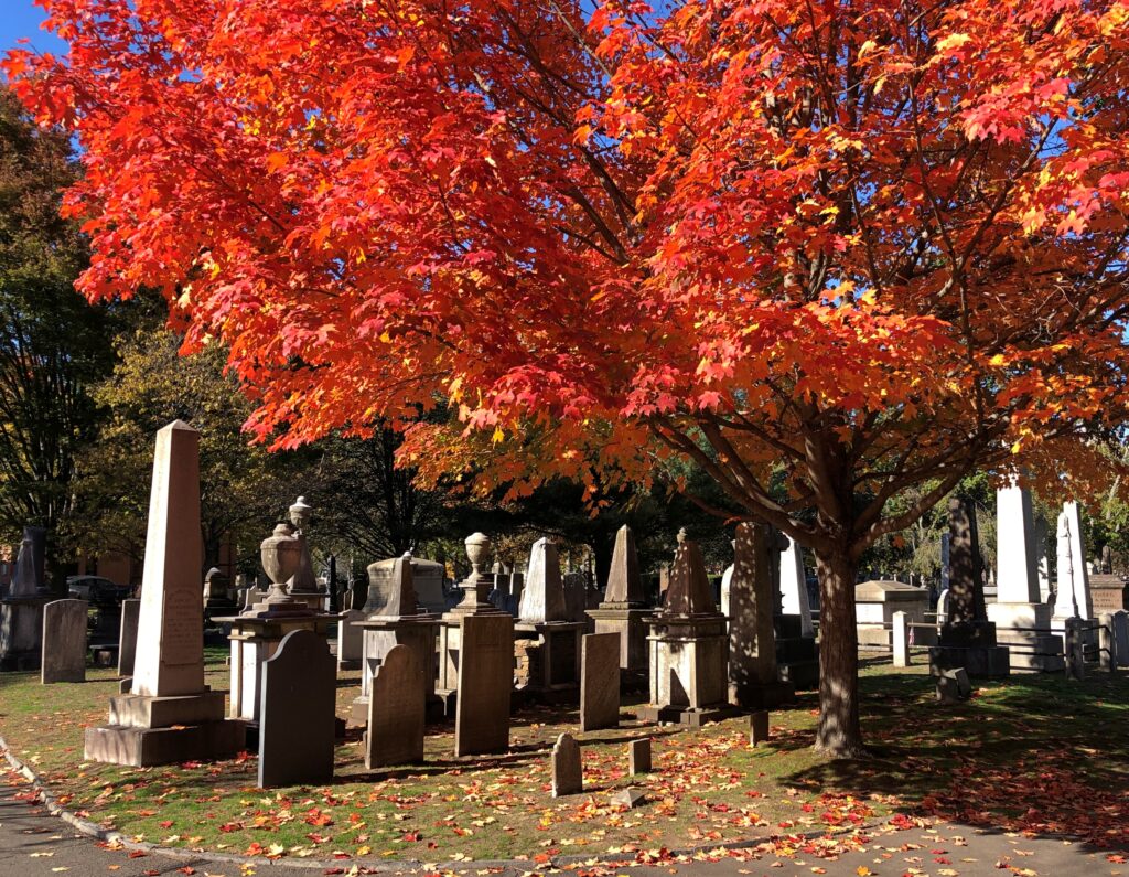 Grove Street Cemetery