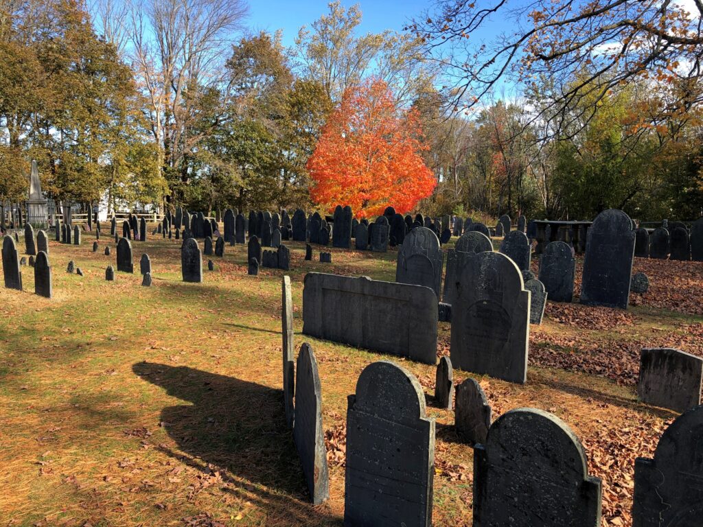 Ye Old Burial Ground