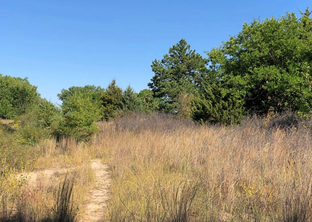 Nebraska National Forest