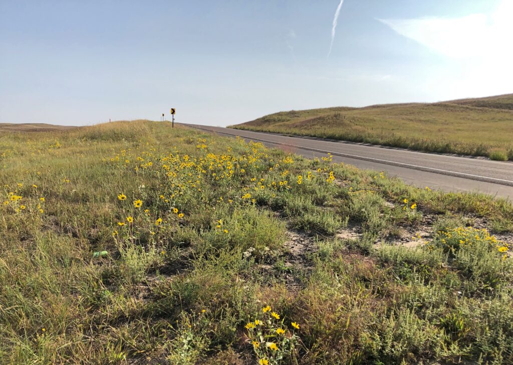 Sandhills of Nebraska