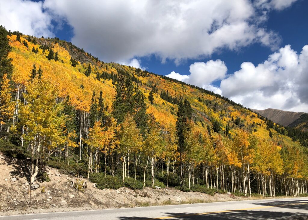 Monarch Pass, Colorado
