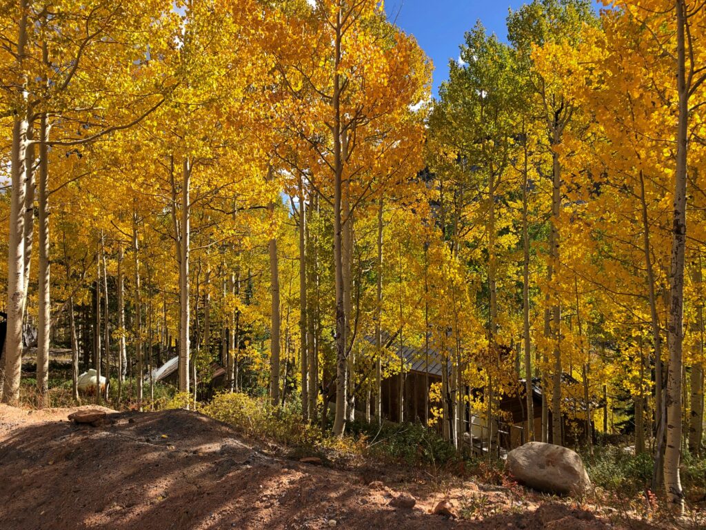 Monarch Pass, Colorado