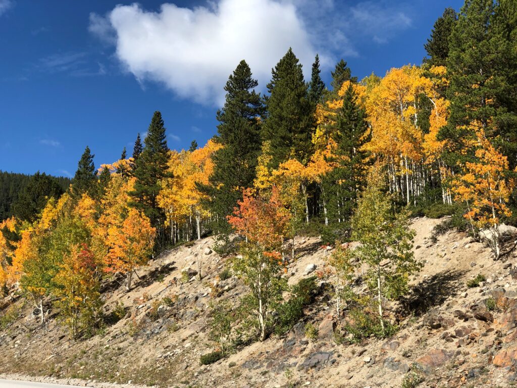 Monarch Pass, Colorado