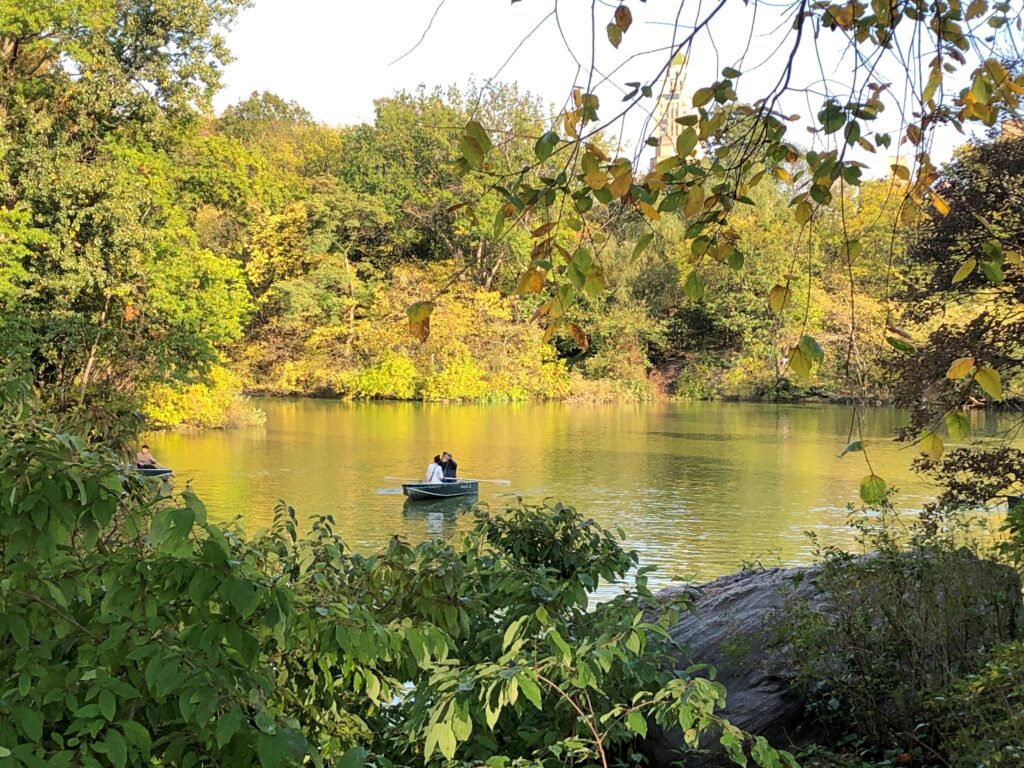 Central Park Oct 2025
