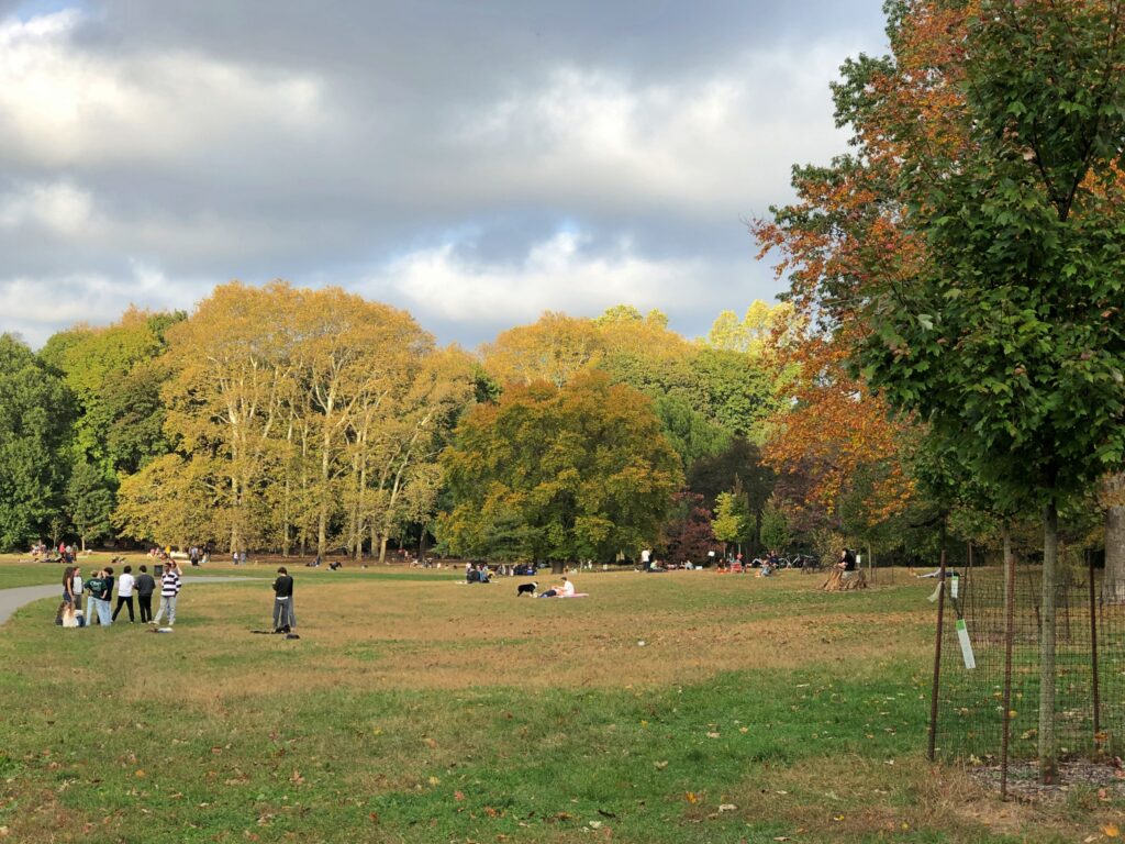 Prospect Park Oct 2025