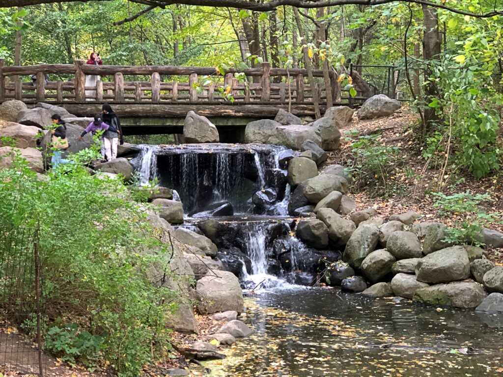 Prospect Park Oct 2025