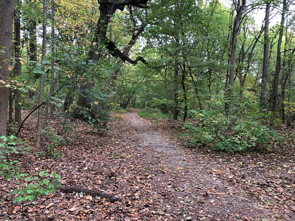 Prospect Park Oct 2025