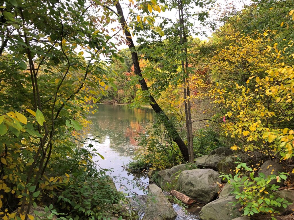 Prospect Park Oct 2025