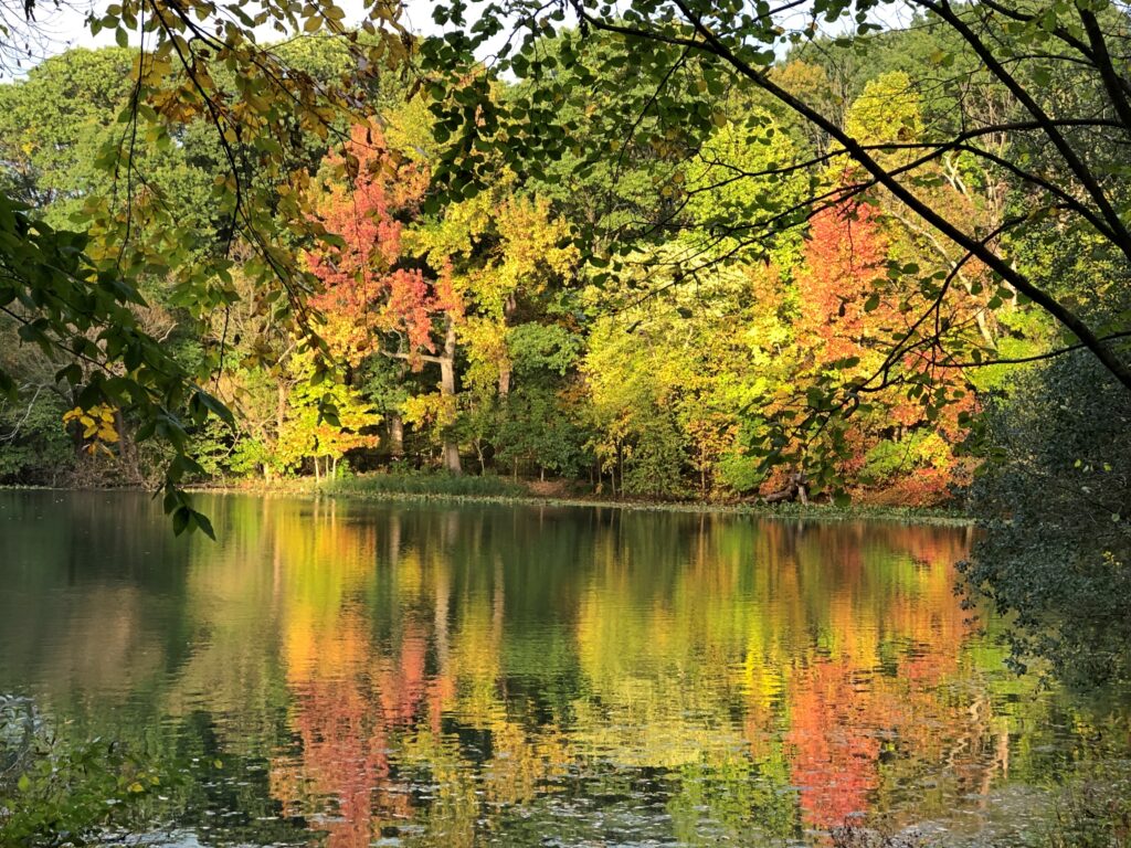 Prospect Park Oct 2025